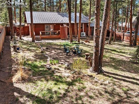 Tiny photo for 305 N Walnut Street, Woodland Park, CO 80863 (MLS # 8069893)