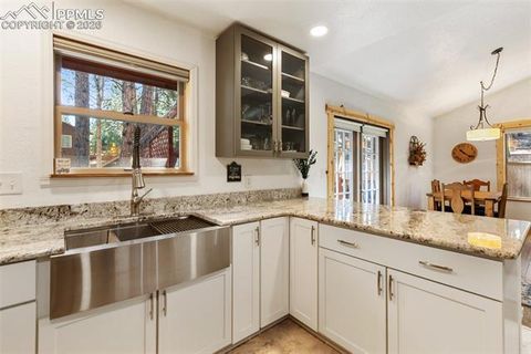 Tiny photo for 305 N Walnut Street, Woodland Park, CO 80863 (MLS # 8069893)