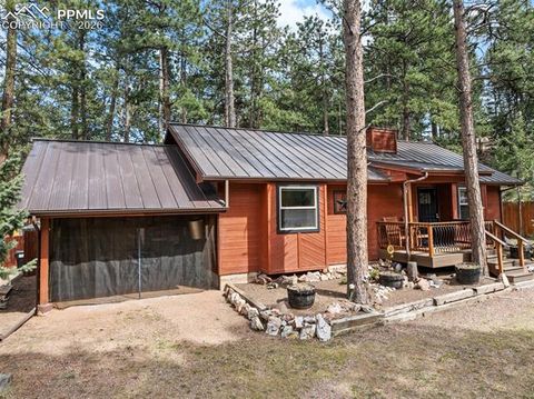 Tiny photo for 305 N Walnut Street, Woodland Park, CO 80863 (MLS # 8069893)