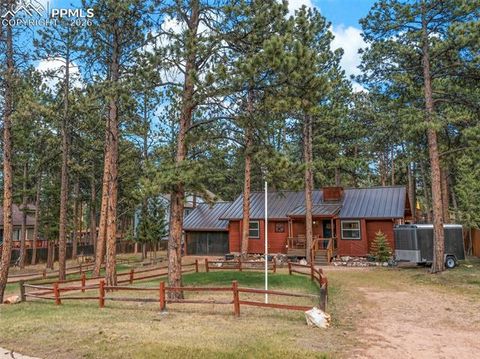 Photo of 305 N Walnut Street, Woodland Park, CO 80863 (MLS # 8069893)