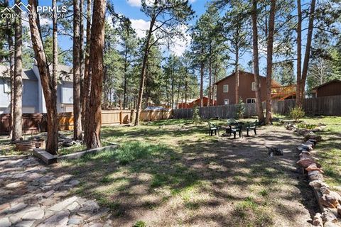 Tiny photo for 305 N Walnut Street, Woodland Park, CO 80863 (MLS # 8069893)