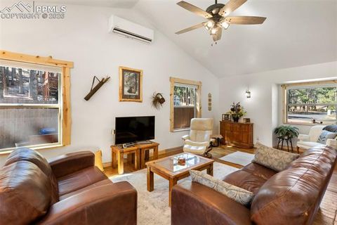Tiny photo for 305 N Walnut Street, Woodland Park, CO 80863 (MLS # 8069893)