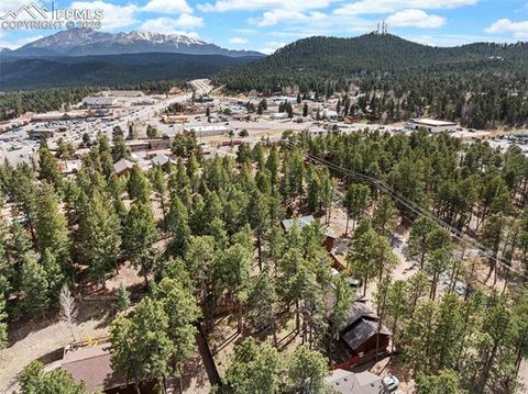 Tiny photo for 305 N Walnut Street, Woodland Park, CO 80863 (MLS # 8069893)