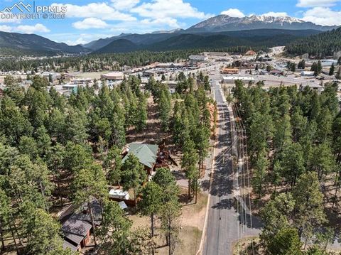 Tiny photo for 305 N Walnut Street, Woodland Park, CO 80863 (MLS # 8069893)