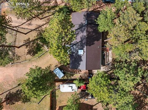 Tiny photo for 305 N Walnut Street, Woodland Park, CO 80863 (MLS # 8069893)