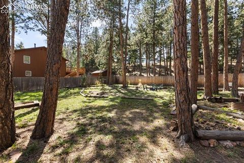 Tiny photo for 305 N Walnut Street, Woodland Park, CO 80863 (MLS # 8069893)