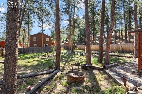 Tiny photo for 305 N Walnut Street, Woodland Park, CO 80863 (MLS # 8069893)