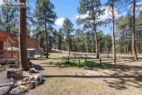 Tiny photo for 305 N Walnut Street, Woodland Park, CO 80863 (MLS # 8069893)