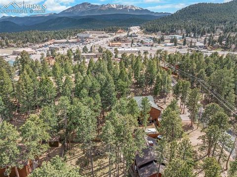 Tiny photo for 305 N Walnut Street, Woodland Park, CO 80863 (MLS # 8069893)