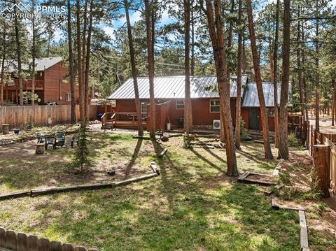 Tiny photo for 305 N Walnut Street, Woodland Park, CO 80863 (MLS # 8069893)