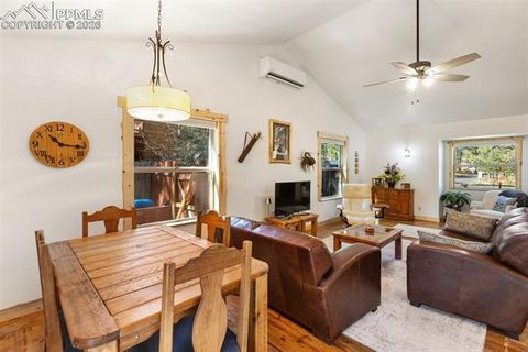 Tiny photo for 305 N Walnut Street, Woodland Park, CO 80863 (MLS # 8069893)