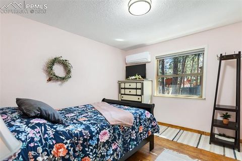 Tiny photo for 305 N Walnut Street, Woodland Park, CO 80863 (MLS # 8069893)