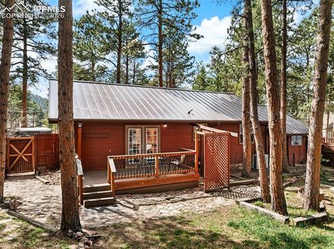 Tiny photo for 305 N Walnut Street, Woodland Park, CO 80863 (MLS # 8069893)
