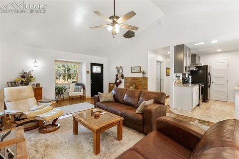 Tiny photo for 305 N Walnut Street, Woodland Park, CO 80863 (MLS # 8069893)