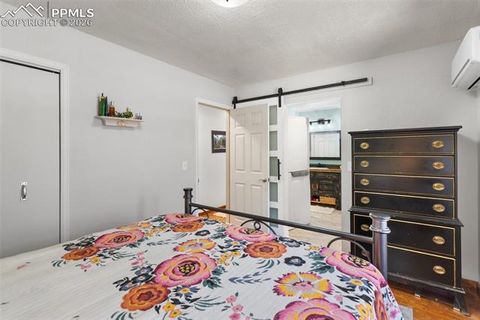 Tiny photo for 305 N Walnut Street, Woodland Park, CO 80863 (MLS # 8069893)