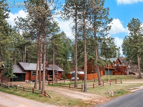 Tiny photo for 305 N Walnut Street, Woodland Park, CO 80863 (MLS # 8069893)