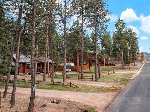 Tiny photo for 305 N Walnut Street, Woodland Park, CO 80863 (MLS # 8069893)