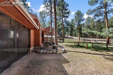 Tiny photo for 305 N Walnut Street, Woodland Park, CO 80863 (MLS # 8069893)