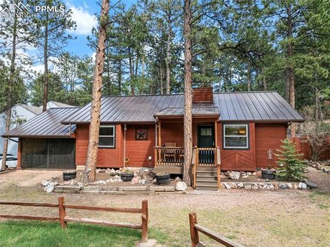 Tiny photo for 305 N Walnut Street, Woodland Park, CO 80863 (MLS # 8069893)