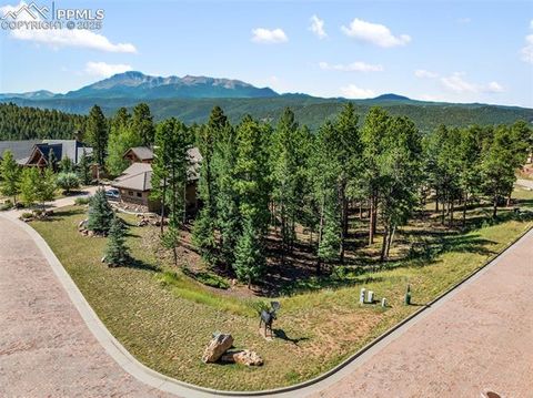 Photo of 311 Thunder Ridge Drive, Woodland Park, CO 80863 (MLS # 1949068) Photo of 311 Thunder Ridge Drive, Woodland Park, CO 80863 (MLS # 1949068)