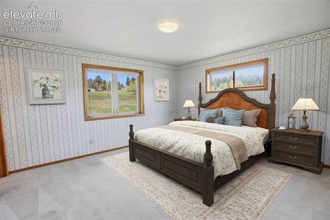 Tiny photo for 812 Red Eagle Court, Woodland Park, CO 80863 (MLS # 4489505)