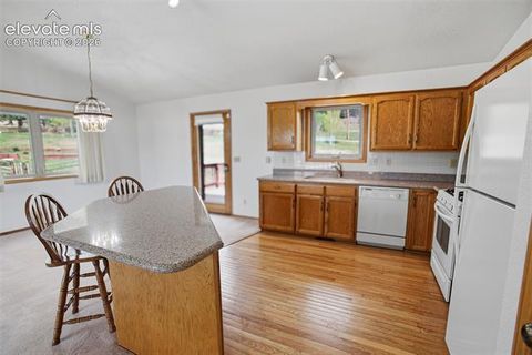 Tiny photo for 812 Red Eagle Court, Woodland Park, CO 80863 (MLS # 4489505)