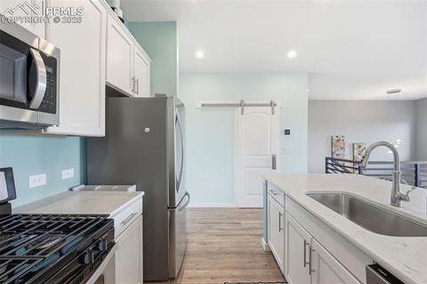 Tiny photo for 1336 Plentiful Drive, Colorado Springs, CO 80921 (MLS # 8459175)