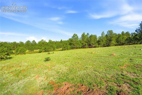 Photo of Doe Valley Road, Guffey, CO 80820 (MLS # 9773011)