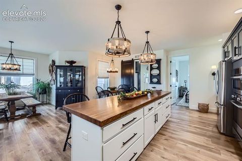 Tiny photo for 8735 Palomino Ridge View, Peyton, CO 80831 (MLS # 4068328)