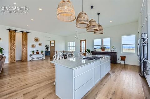 Tiny photo for 8735 Palomino Ridge View, Peyton, CO 80831 (MLS # 4068328)