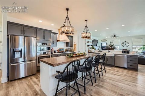 Tiny photo for 8735 Palomino Ridge View, Peyton, CO 80831 (MLS # 4068328)
