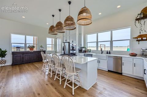 Tiny photo for 8735 Palomino Ridge View, Peyton, CO 80831 (MLS # 4068328)