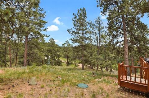 Tiny photo for 9 Kingston Circle, Florissant, CO 80816 (MLS # 6474366)