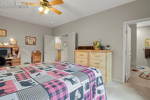 Tiny photo for 9 Kingston Circle, Florissant, CO 80816 (MLS # 6474366)
