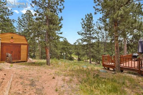 Tiny photo for 9 Kingston Circle, Florissant, CO 80816 (MLS # 6474366)