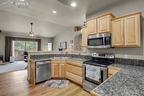 Tiny photo for 9 Kingston Circle, Florissant, CO 80816 (MLS # 6474366)