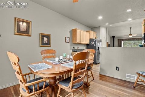 Tiny photo for 9 Kingston Circle, Florissant, CO 80816 (MLS # 6474366)