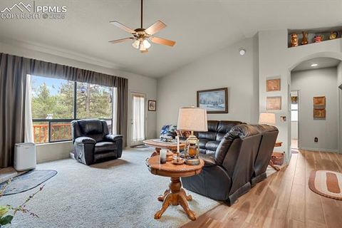 Tiny photo for 9 Kingston Circle, Florissant, CO 80816 (MLS # 6474366)