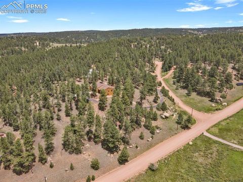 Tiny photo for 9 Kingston Circle, Florissant, CO 80816 (MLS # 6474366)