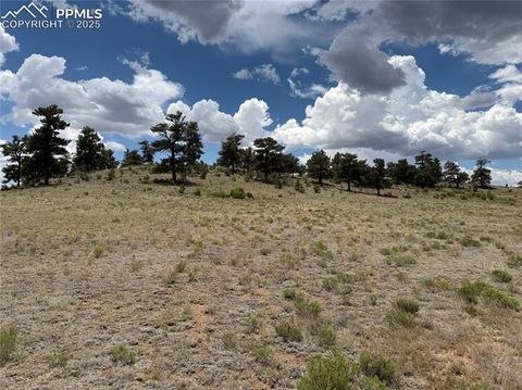 Photo of HoHoKan Trail, Hartsel, CO 80449 (MLS # 7061376)