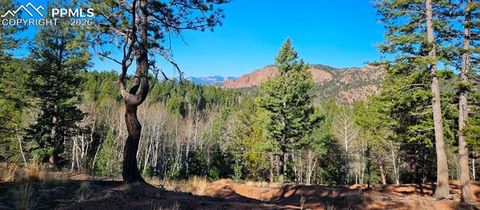 Photo of 652 Derby Drive, Cripple Creek, CO 80813 (MLS # 3397797)