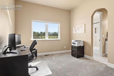 Tiny photo for 14894 Snowy Pine Point, Colorado Springs, CO 80908 (MLS # 6620393)