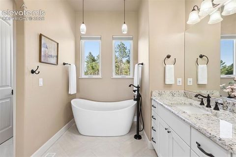 Tiny photo for 14894 Snowy Pine Point, Colorado Springs, CO 80908 (MLS # 6620393)