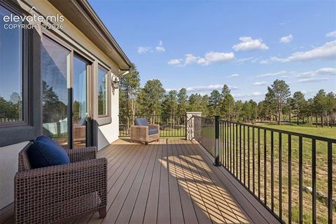 Tiny photo for 14894 Snowy Pine Point, Colorado Springs, CO 80908 (MLS # 6620393)