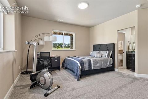 Tiny photo for 14894 Snowy Pine Point, Colorado Springs, CO 80908 (MLS # 6620393)