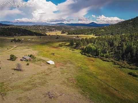 Photo of 36 Valley Circle, Guffey, CO 80820 (MLS # 3170013) Photo of 36 Valley Circle, Guffey, CO 80820 (MLS # 3170013)