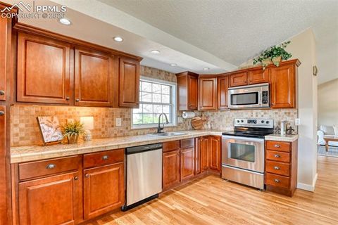 Tiny photo for 415 Red Mountain Court, Colorado Springs, CO 80919 (MLS # 7374203)