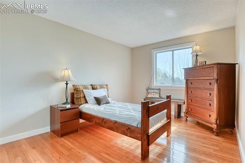 Tiny photo for 415 Red Mountain Court, Colorado Springs, CO 80919 (MLS # 7374203)