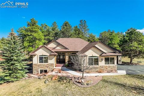221 Eagle Pines Drive Woodland Park CO 80863