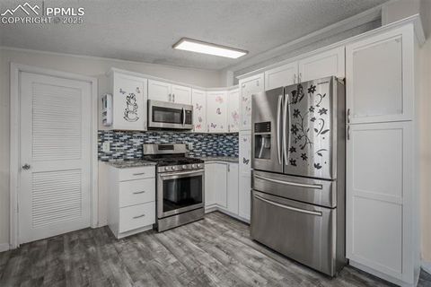 Tiny photo for 20680 Boca Chica Heights, Fountain, CO 80817 (MLS # 6772201)